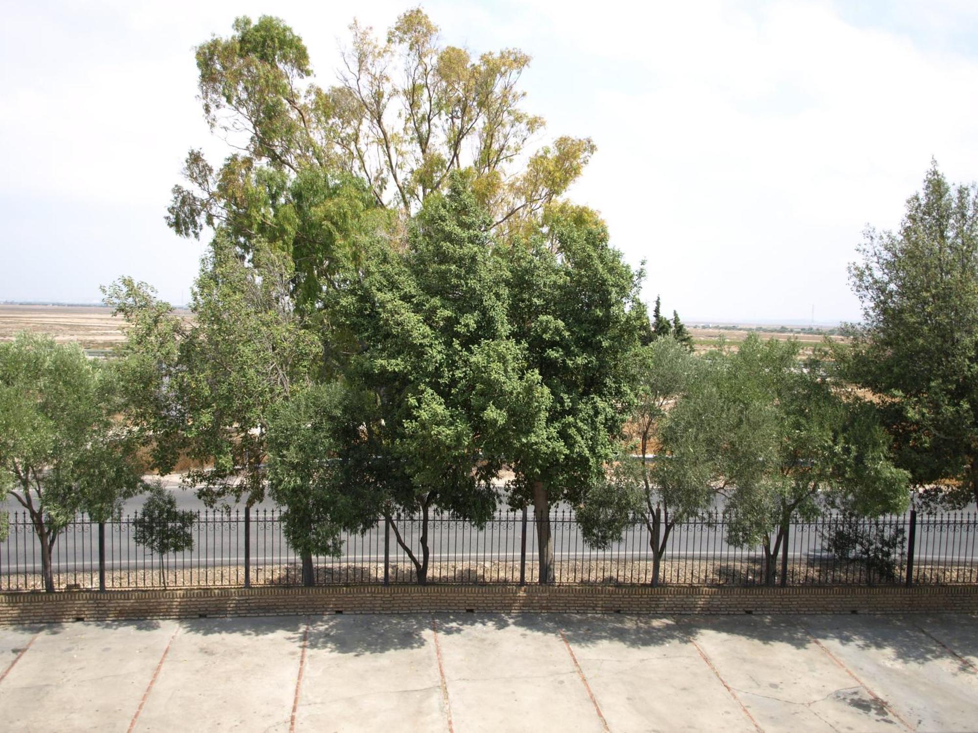 Hotel Caballo Negro Puerto Real Bagian luar foto